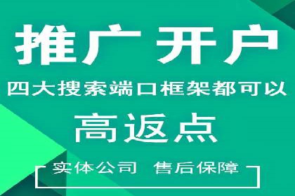 精准投放，效果惊人：百度推广代理商经典案例