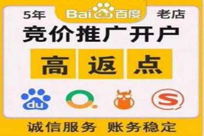 搜索引擎营销（SEM）广告的五大经典案例
